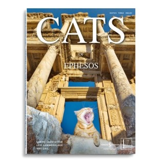 Cats of Ephesos.