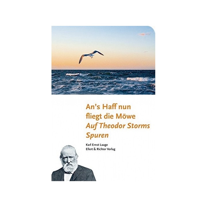 An’s Haff nun fliegt die Möwe - Auf Theodor Storms Spuren.