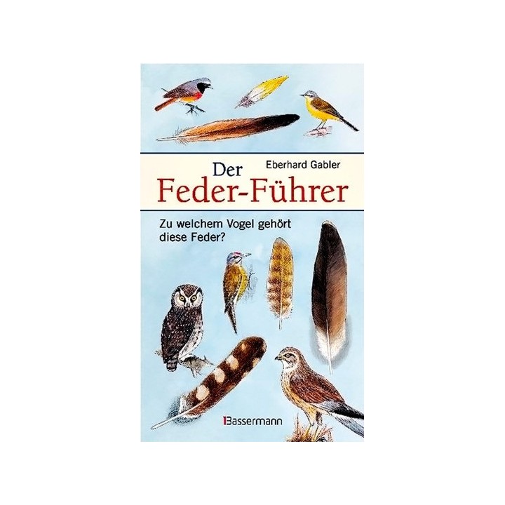 Der Feder-Führer. Zu welchem Vogel gehört diese Feder?