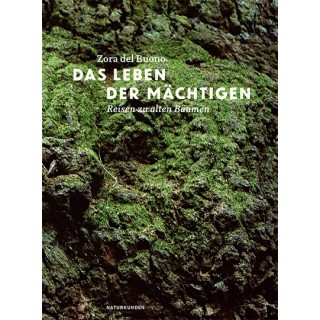 Das Leben der Mächtigen. Reisen zu alten Bäumen.