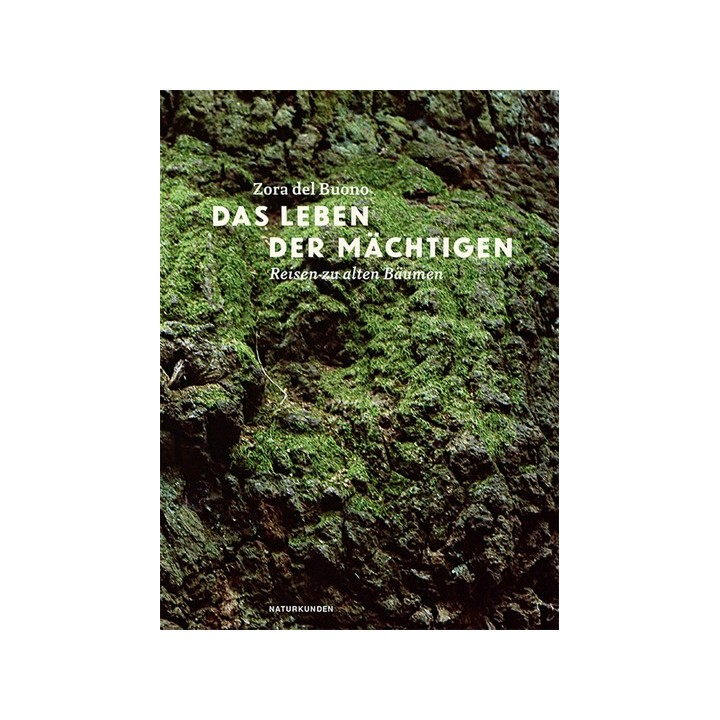 Das Leben der Mächtigen. Reisen zu alten Bäumen.