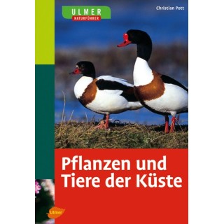 Pflanzen und Tiere der Küste.