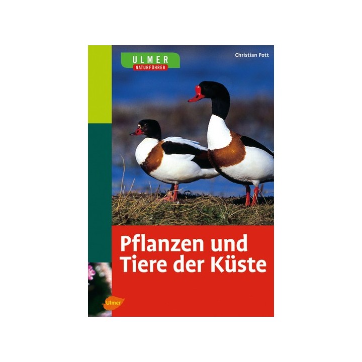 Pflanzen und Tiere der Küste.