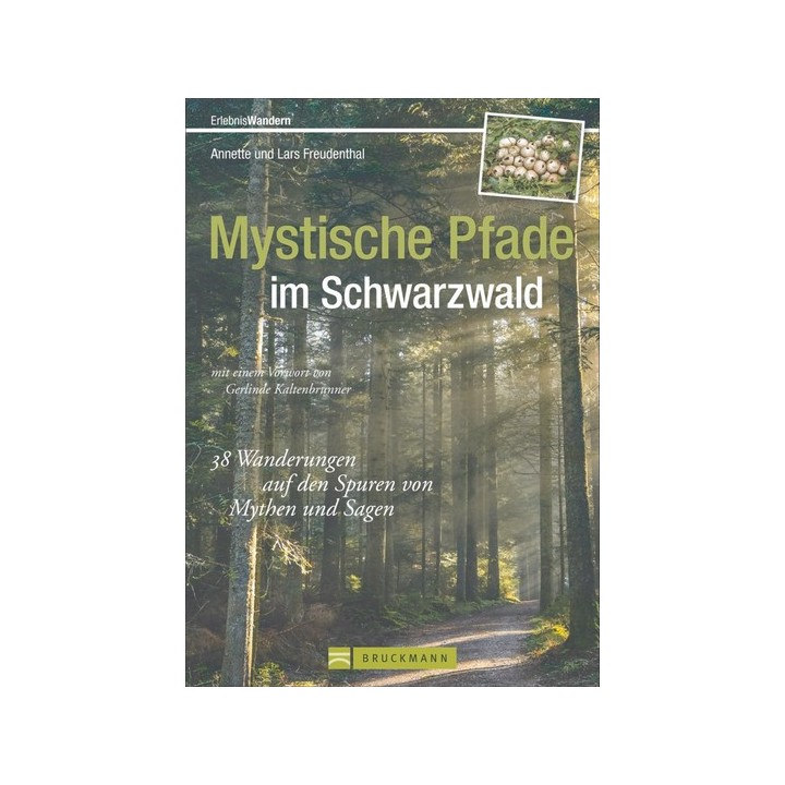 Mystische Pfade - Schwarzwald