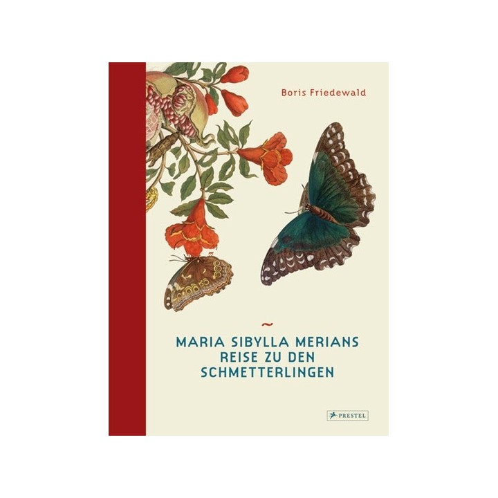Maria Sibylla Merians Reise zu den Schmetterlingen.