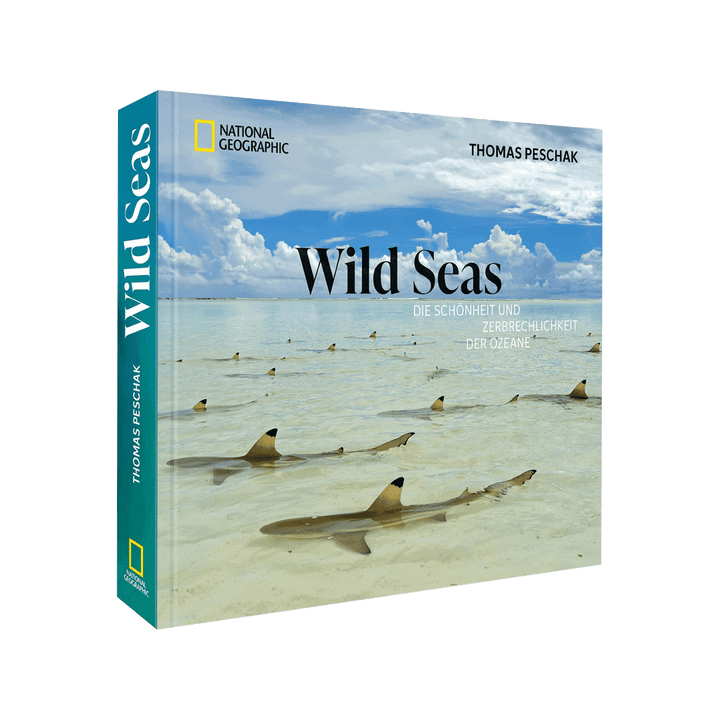 Wild Seas. Die Schönheit und Zerbrechlichkeit der Ozeane.