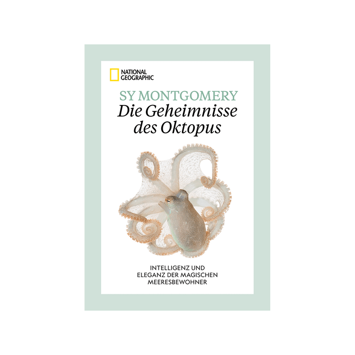 Die Geheimnisse des Oktopus. Intelligenz und Eleganz der magischen Meeresbewohner.
