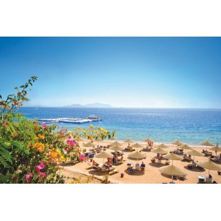 Domina Coral Bay Resort, Diving , Spa & Casino