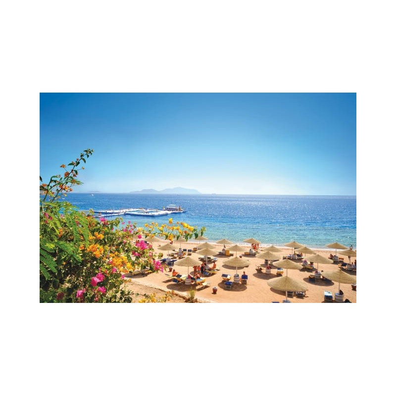 Domina Coral Bay Resort, Diving , Spa & Casino