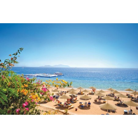 Domina Coral Bay Resort, Diving , Spa & Casino