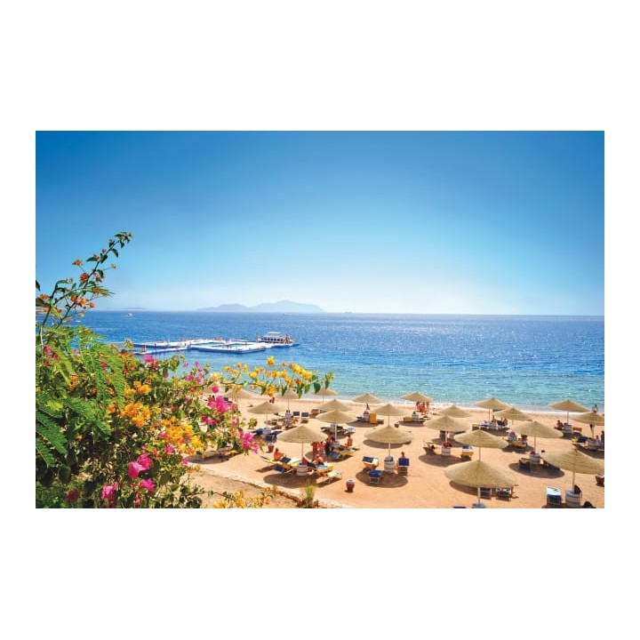 Domina Coral Bay Resort, Diving , Spa & Casino