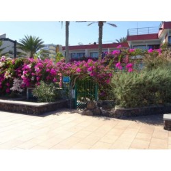 Hotel San Nicolas