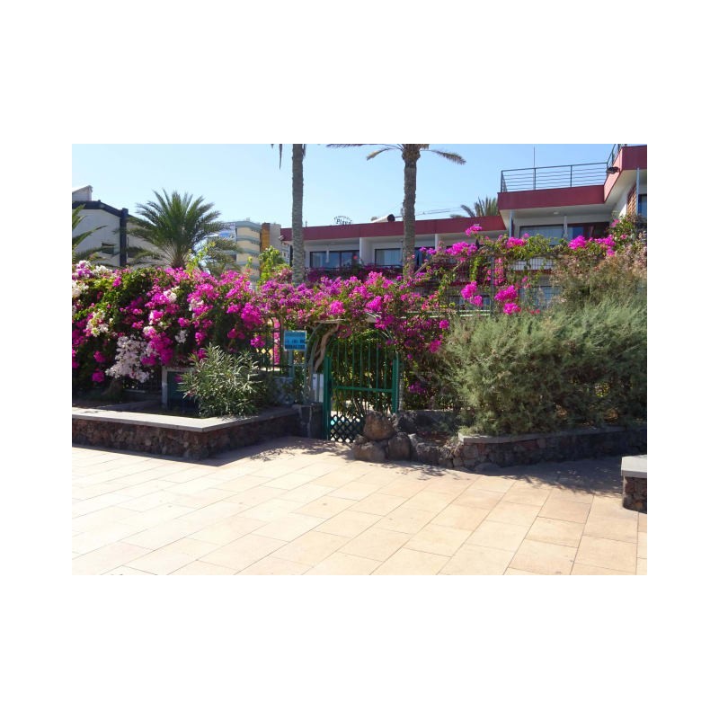 Hotel San Nicolas