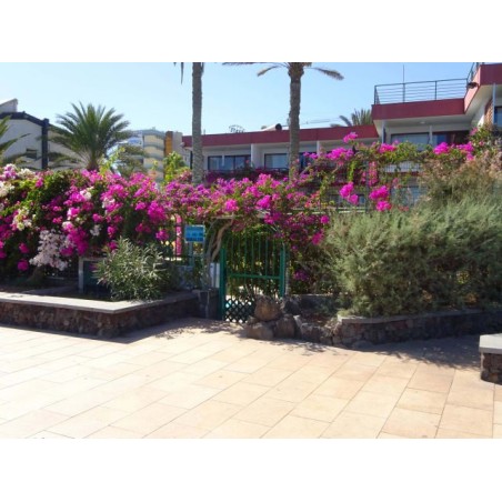 Hotel San Nicolas