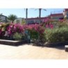 Hotel San Nicolas