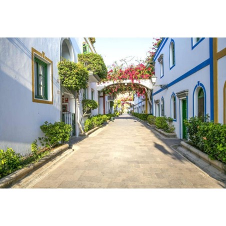 Apartamentos LIVVO Puerto de Mogán