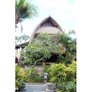 Puri Dewa Bharata Hotel & Villas