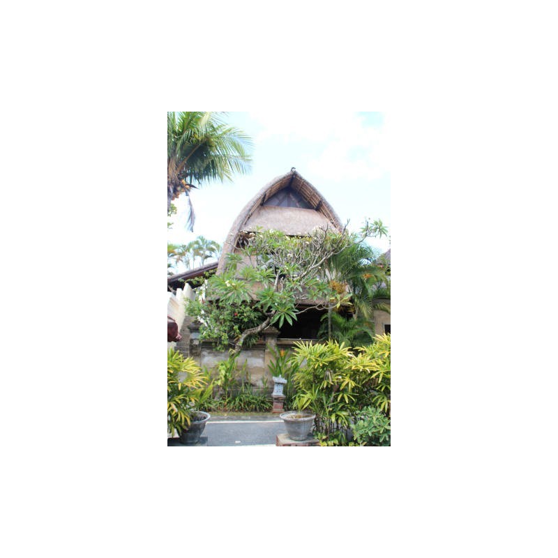Puri Dewa Bharata Hotel & Villas