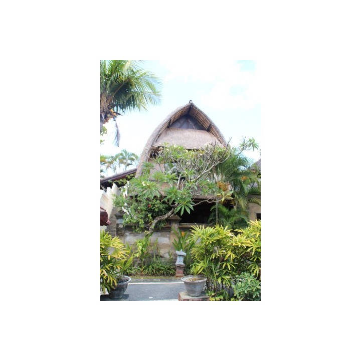 Puri Dewa Bharata Hotel & Villas