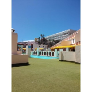 Apartment Palm Garden By LIVVO