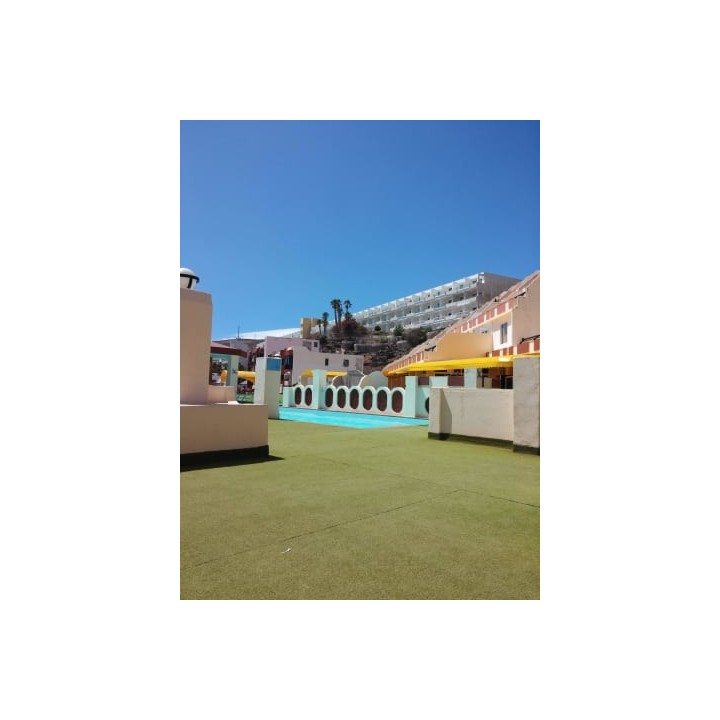 Apartment Palm Garden By LIVVO