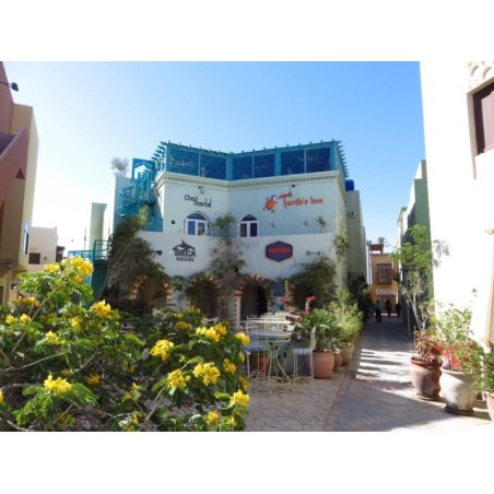 Turtle's Inn Hotel