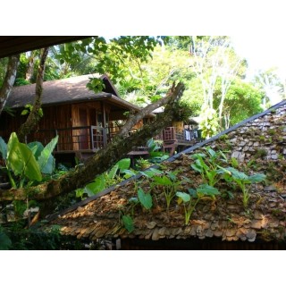 Baan Krating Khao Lak Resort