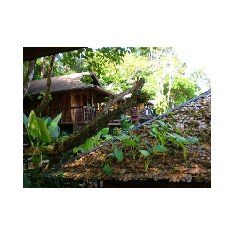 Baan Krating Khao Lak Resort