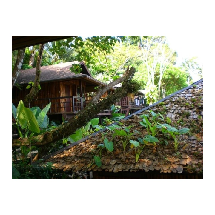 Baan Krating Khao Lak Resort