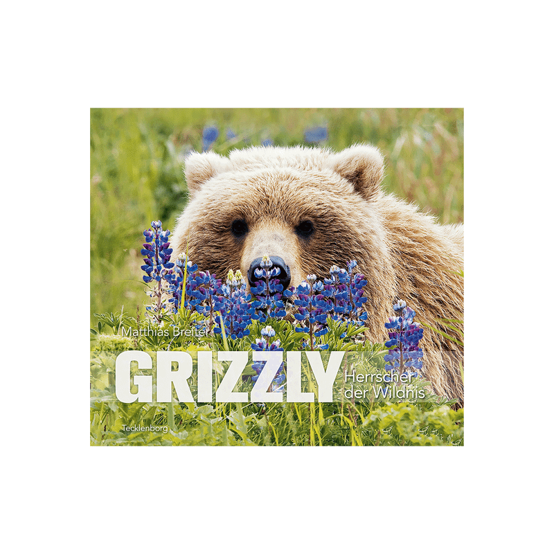 Grizzly. Herrscher der Wildnis.