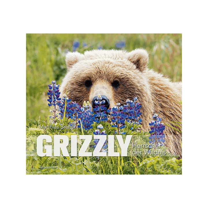 Grizzly. Herrscher der Wildnis.