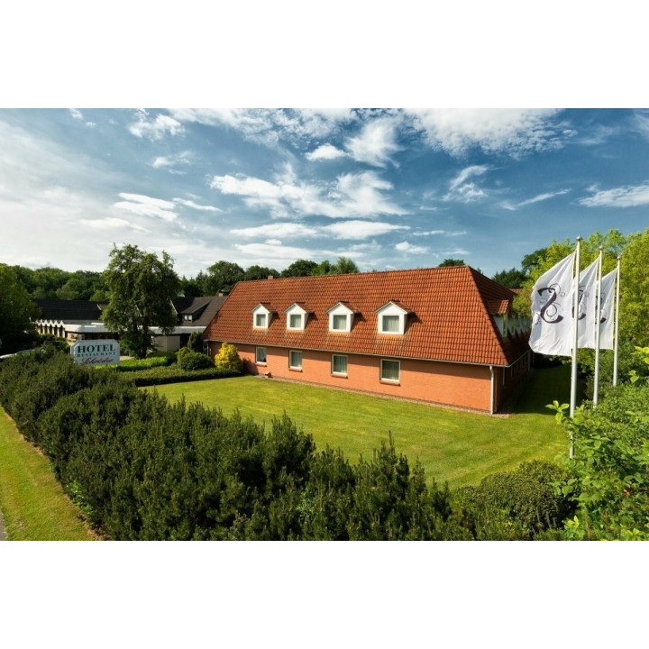 'Die Kraniche im Tister Bauernmoor'