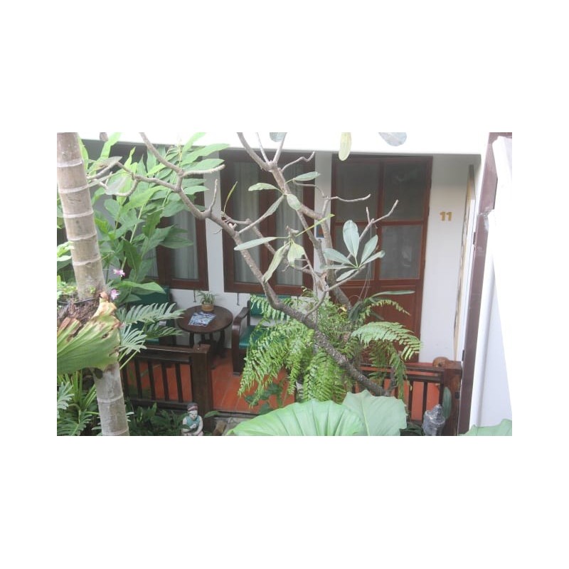 Hotel Shewe Wana Boutique Resort & Spa