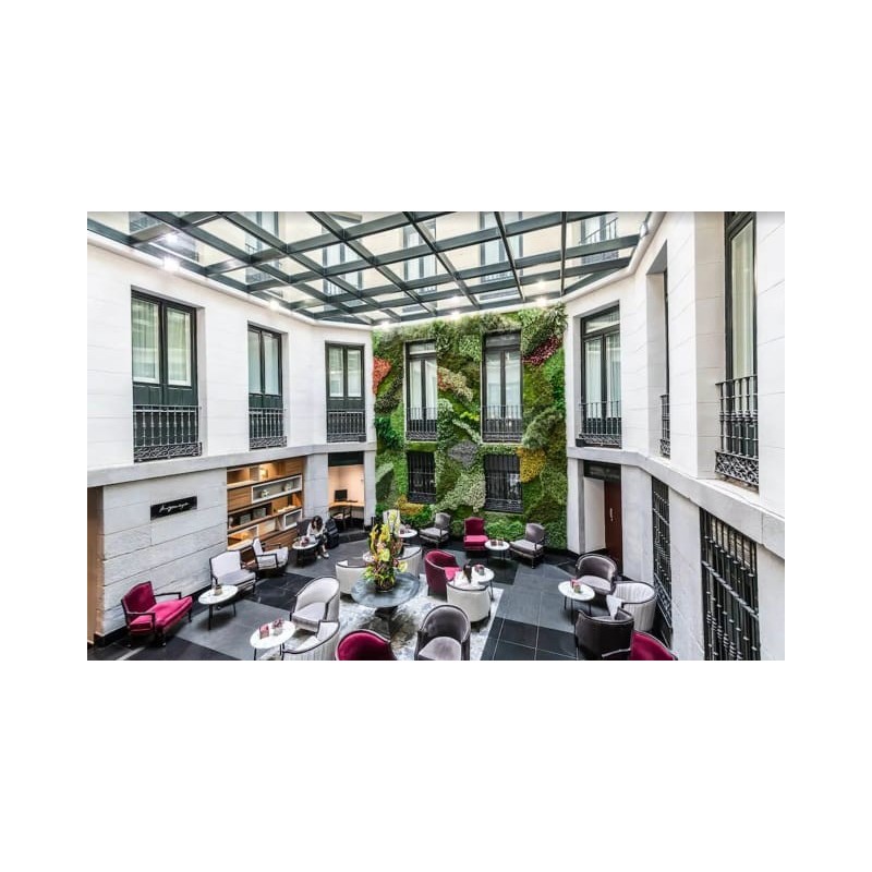 Hotel Palacio San Martin
