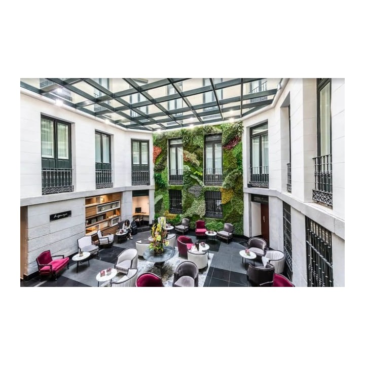 Hotel Palacio San Martin