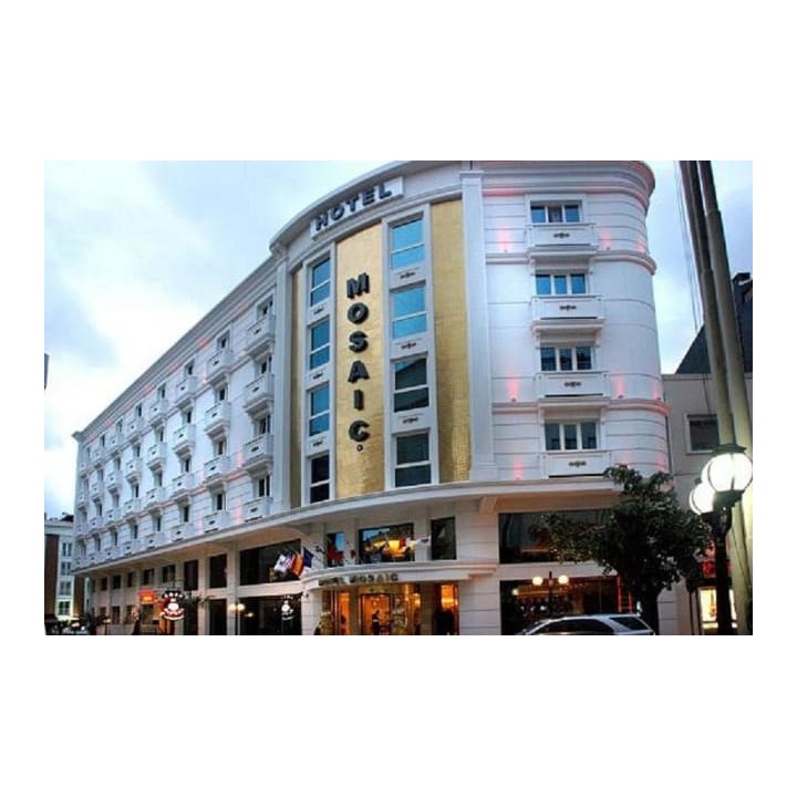 Hotel Mosaic