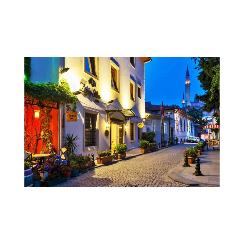 Zeynep Sultan Hotel