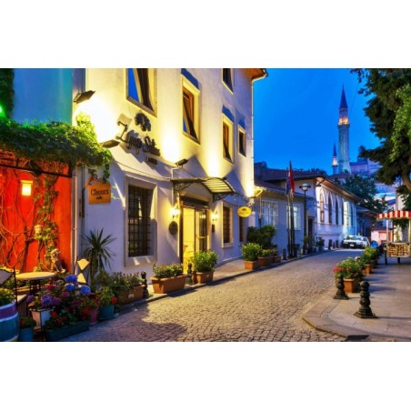 Zeynep Sultan Hotel