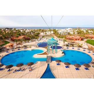 Calimera Blend Paradise