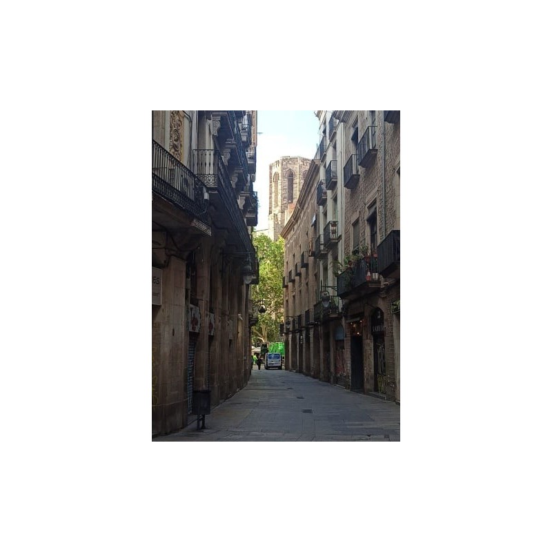 Hotel H10 Racó del Pi