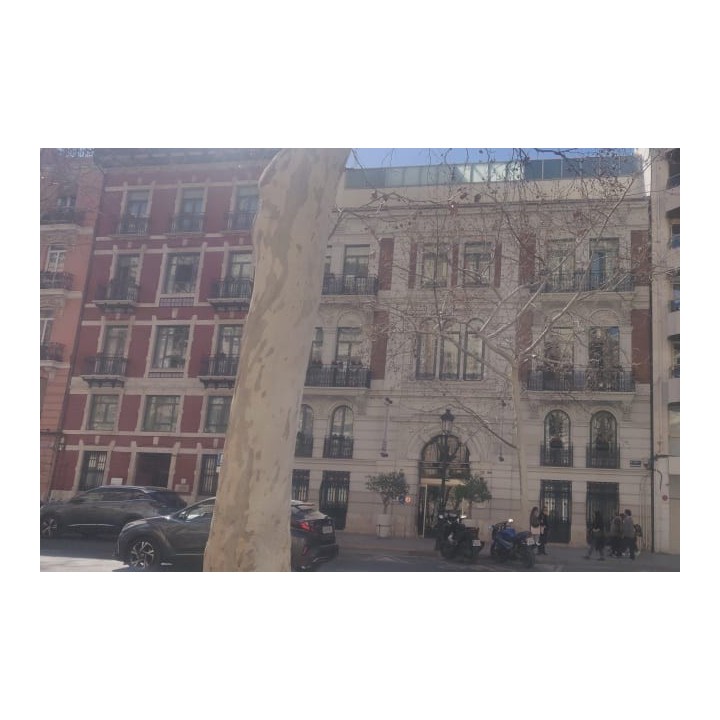 Hotel Hospes Palau de Mar