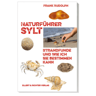 Naturführer Sylt. Strandfunde und wie ich sie bestimmen kann.