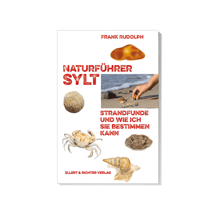 Naturführer Sylt. Strandfunde und wie ich sie bestimmen kann.