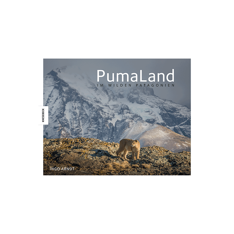 PumaLand. Im wilden Patagonien.