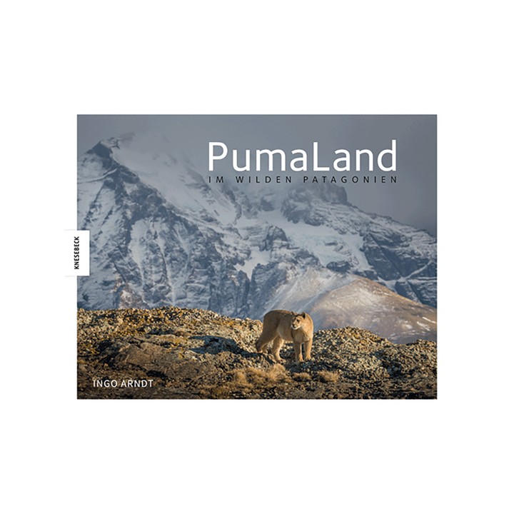 PumaLand. Im wilden Patagonien.