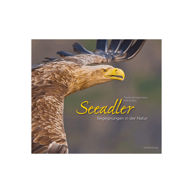 Seeadler. Begegnungen in der Natur.