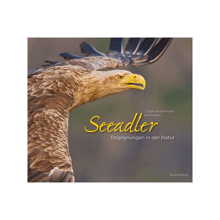 Seeadler. Begegnungen in der Natur.