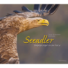 Seeadler. Begegnungen in der Natur.